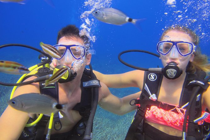 Side: Scuba Diving Experience - Convenient Location