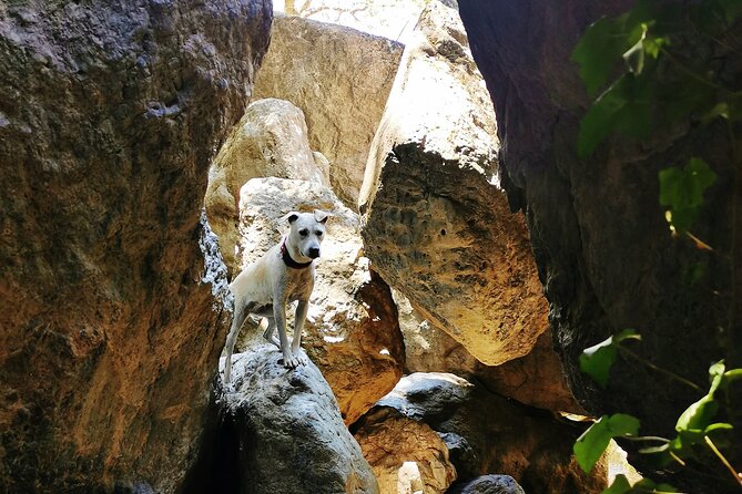 Sierra Nevada Canyon Hiking Adventure - Pricing Information