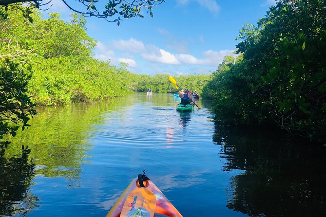 Siesta Key Guided Eco Tour - Tour Details