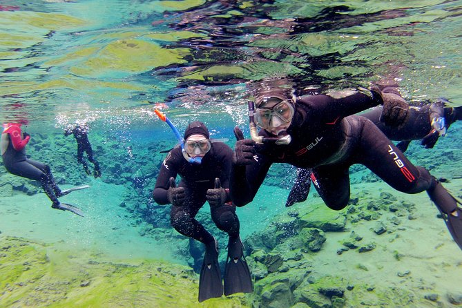 Silfra Drysuit Snorkeling - Meet on Location Free Photos - Swim Between Tectonic Plates at Silfra