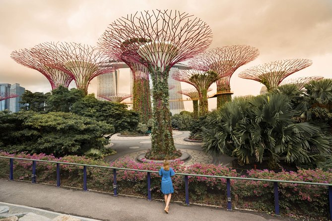 Singapore Instagram Private Walking Tour (Private & All-Inclusive) - Weather and Minimum Travelers