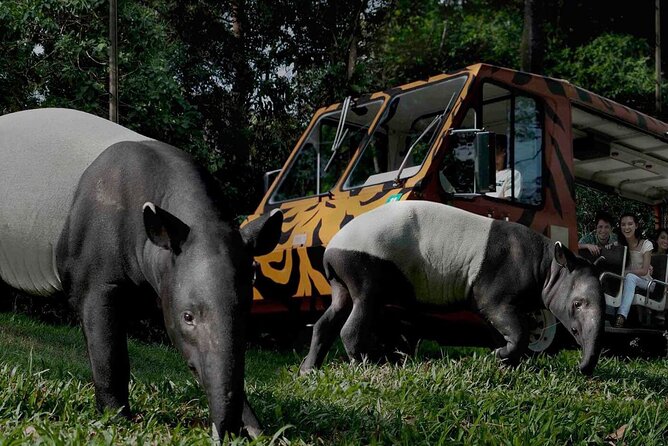 Singapore: Night Safari Entry Ticket - Selecting Date and Number of Travelers