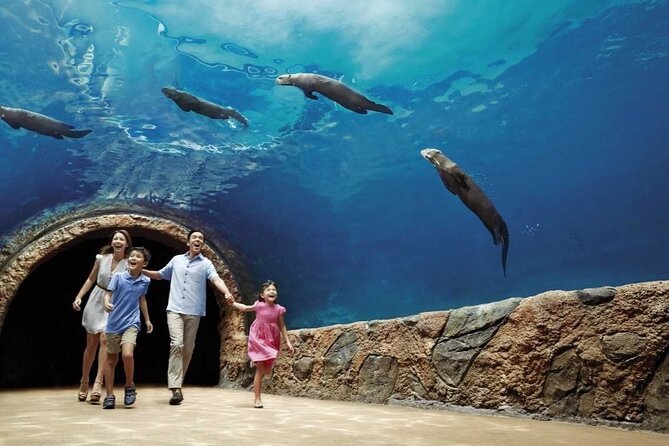 Singapore River Wonders & Night Safari ( Tickets & Transfer ) - Highlights of the Night Safari Experience
