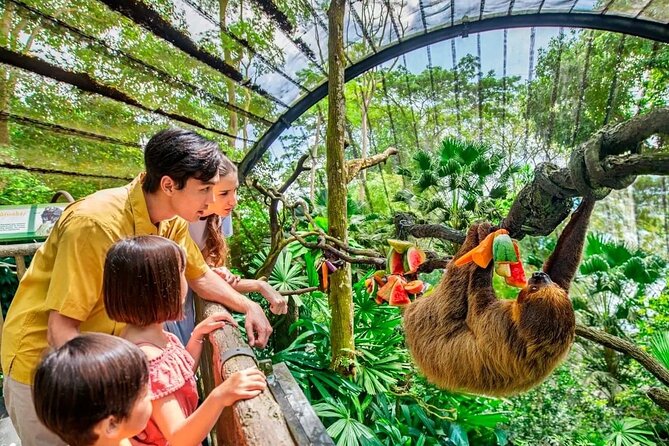 Singapore Zoo & Night Safari Day ( Tickets & Transfer ) - Transfer Services for the Singapore Zoo & Night Safari Day