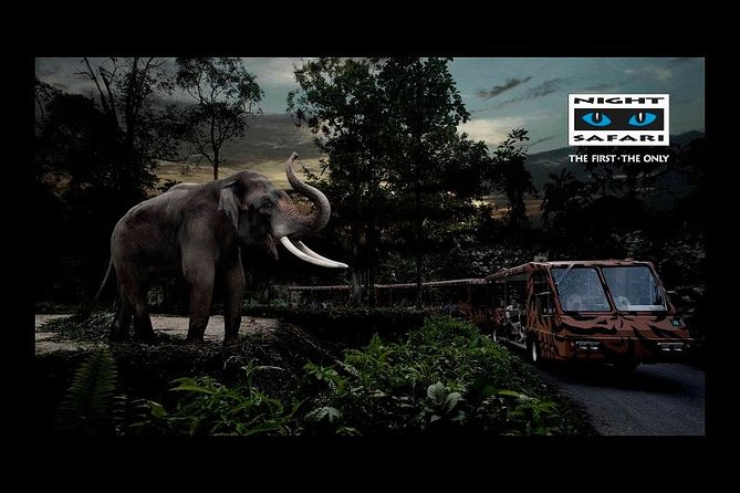 Singapore Zoo Night Safari Walk, Tram With Dinner Option - Pickup Details