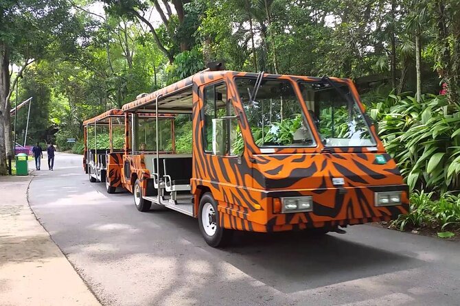 Singapore Zoo With Tram Ride Experience - Tram Ride Experience