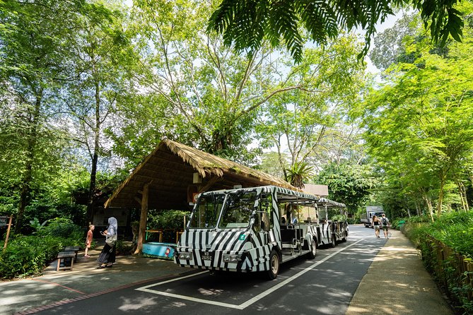 Singapore Zoo With Transfer, Breakfast With Orangutans Option - Additional Information for Visitors