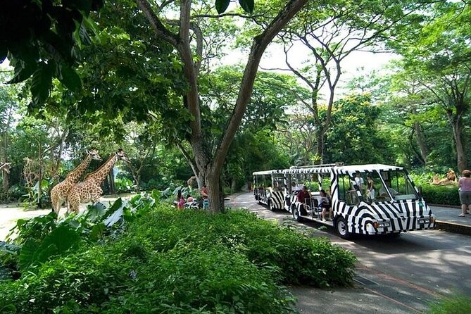 Singapore Zoo - Pricing and Value
