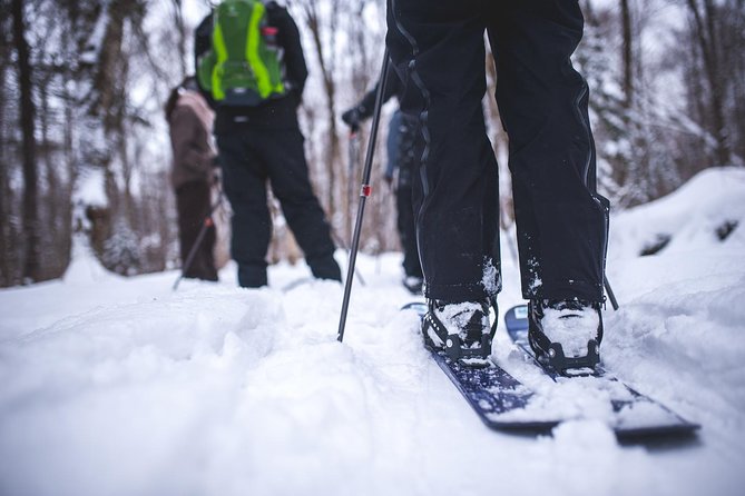 Skiing (Hok Ski) Excursion in Jacques-Cartier National Park - Activity Duration and Type