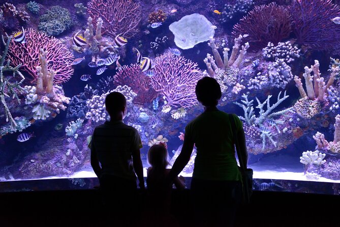 Skip the Line: Antalya Aquarium Ticket - Reviews and Ratings