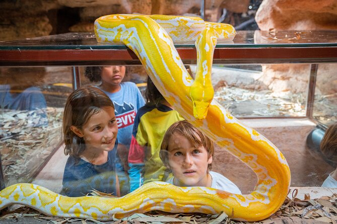 Skip the Line: Crocoparc Admission Ticket - Refund Policy for Cancellations