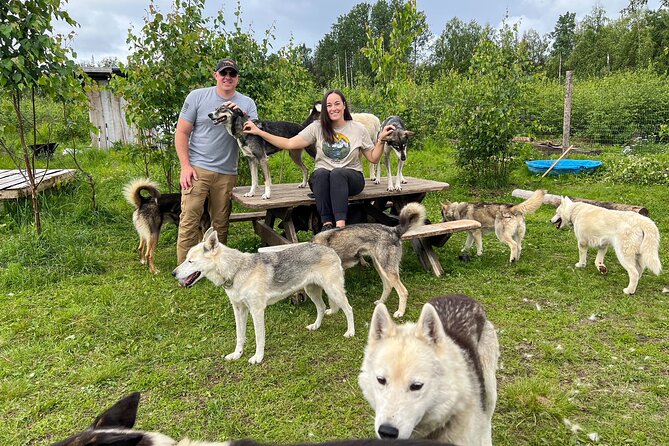 Sled Dog Kennel Tour - Tour Overview