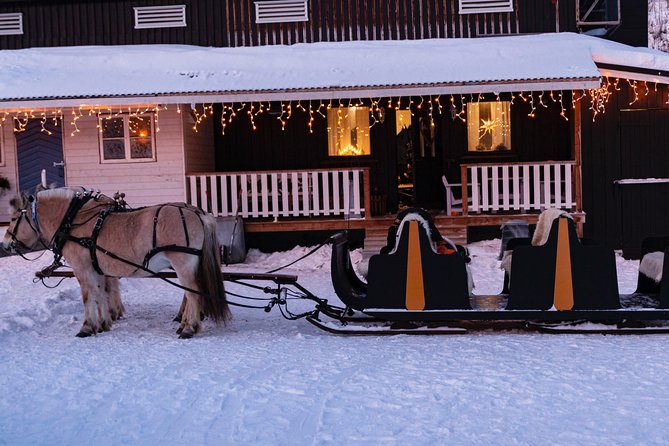 Sleigh Ride W/ Tapas Meal - Experience Arctic Farm Life - Explore Mathisdalen Valley