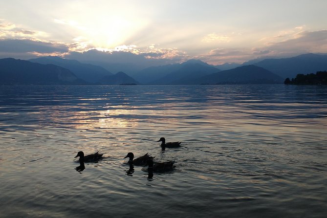 Slow Boat Tour for Small Groups With Appetizer on Lake Maggiore - Inclusions