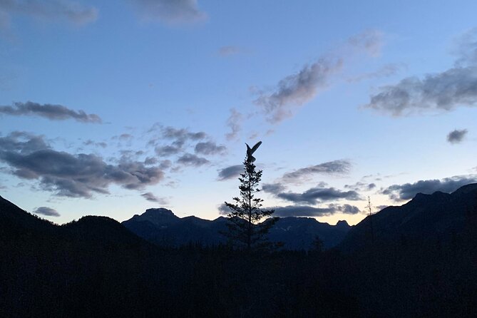 Small-Group 2-Hour Evening Hike With Stargazing, Banff - Meeting and Pickup