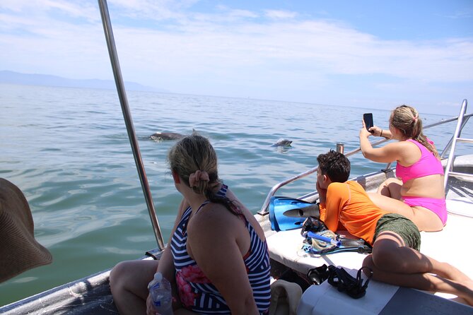 Small Group 4-Hour Observation and Swimming With Wild Dolphin - Additional Information