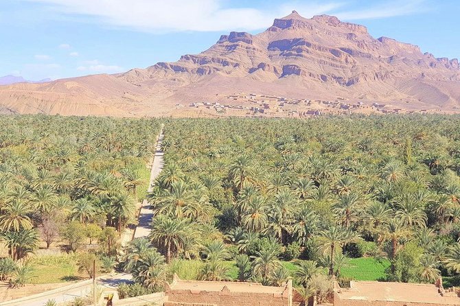 Small Group 7-Day Marrakech Riad and Luxury Desert Camp - Itinerary - Day 1