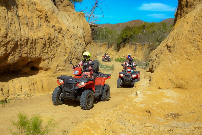 Small-Group ATV Desert Adventure in Cabo San Lucas - Traveler Photos and Reviews