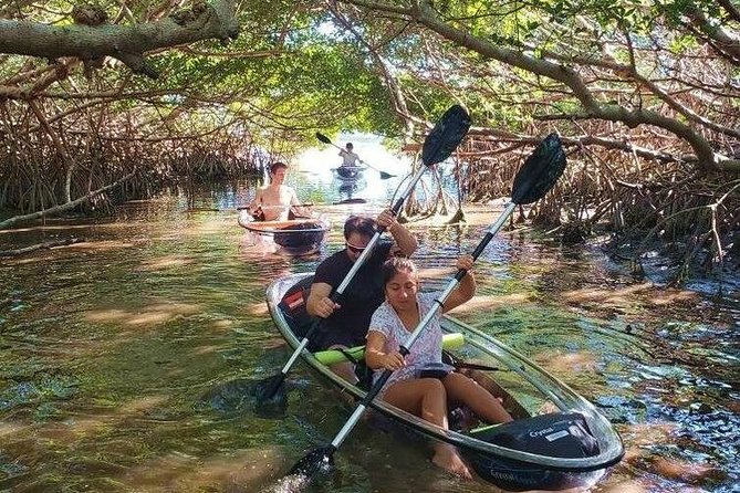 Small-Group Clear Kayak Tour in Shell Key - Tour Overview and Inclusions