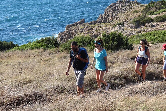 Small-Group Day Tour With Hiking & Swimming, Gulf of Navarino  - Kalamata - Relaxation at Divari Beach
