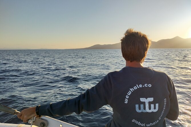 Small Group Dolphin Sunset Tour on Electric Catamaran Lanzarote - Meeting and Pickup Information