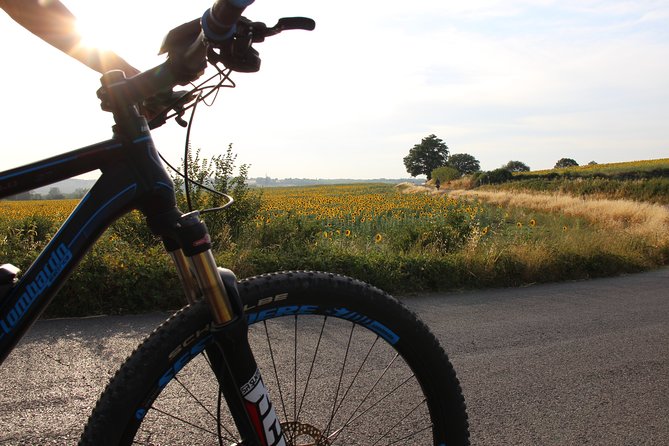 Small Group E-Bike Chianti Tour With Farm Lunch From Siena - Itinerary and Activities