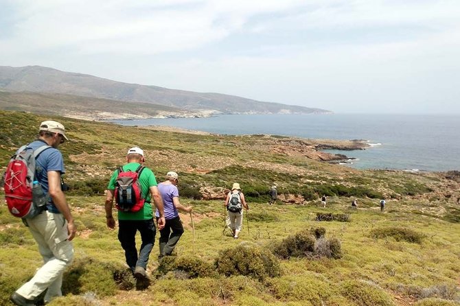 Small-Group Guided Hiking Tour in Andros With Picnic on the Beach - Tour Information
