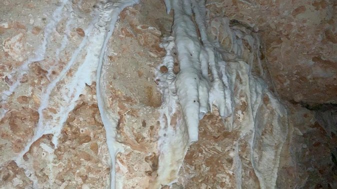 Small-Group Half-Day Active Caves Tour, Bonaire  - Kralendijk - Booking and Cancellation Policy