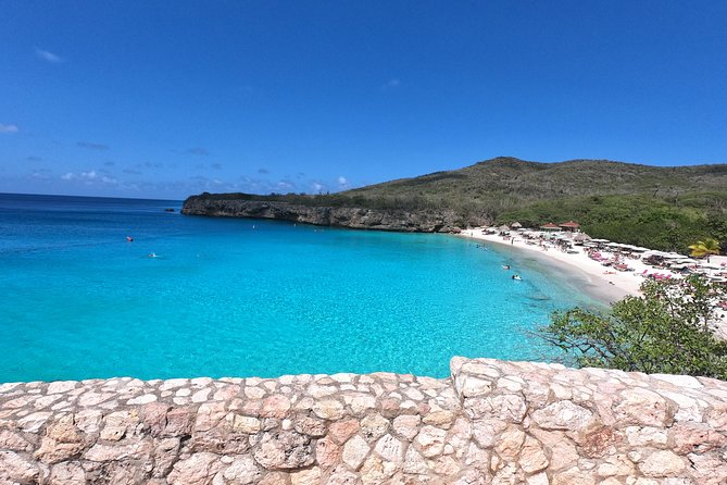 Small-Group Half-Day Swimming With Turtles Tour, Curacao  - Willemstad - Common Questions