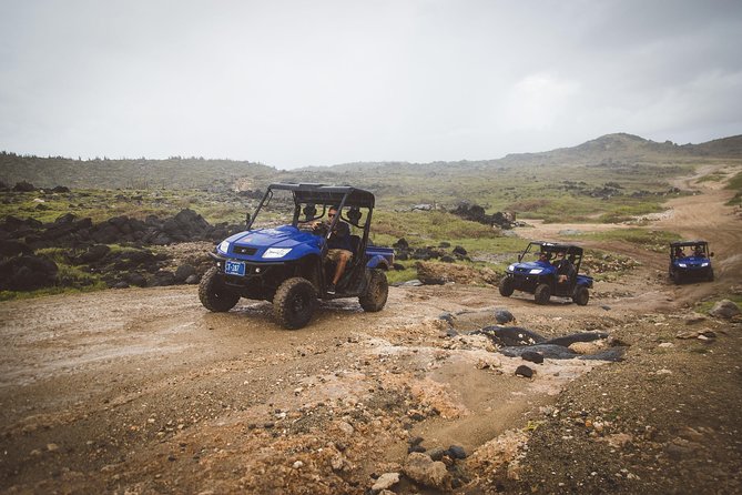 Small-Group Half-Day UTV Adventure Morning Tour in Aruba - Weather and Minimum Travelers