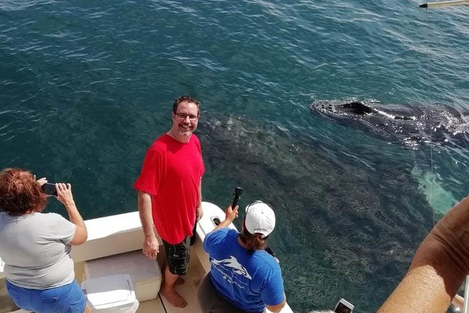 Small-Group Half-Day Whale-Watching Tour in Puerto Vallarta - Positive Feedback About Marine Biologist Talia