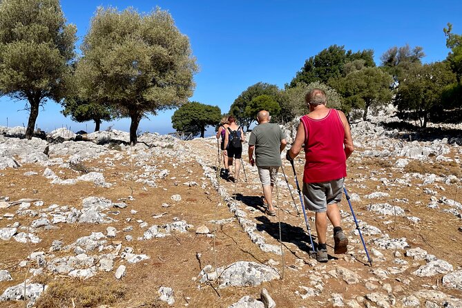 Small Group Hiking From Salakos to Profitis Ilias - Experience Details