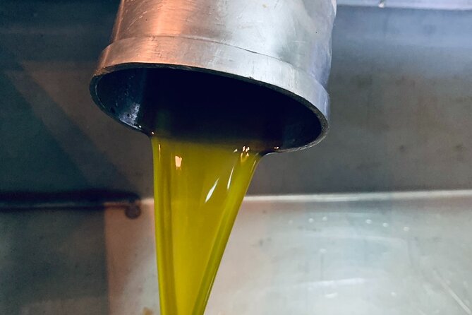 Small-Group Honey & Extra Virgin Olive Oil Tasting Tour in Crete - Cancellation and Refund Policy