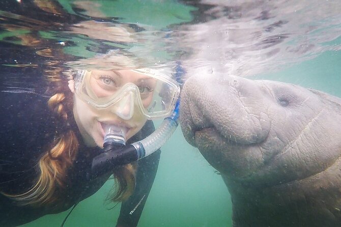 Small Group Manatee Snorkel Tour With In-Water Guide and Photographer - Inclusions