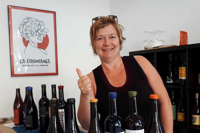 Small-Group Natural and Organic Wine Tasting Near Sitges - Tasting Session Details