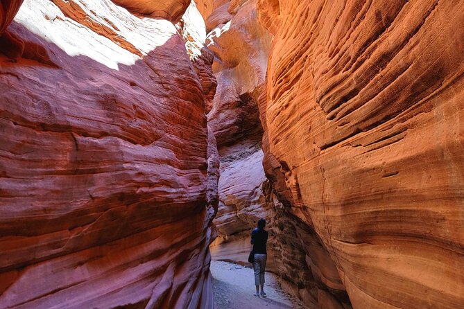 Small-Group Off-Road Vehicle and Hiking Tour to Slot Canyon  - Zion National Park - What To Expect