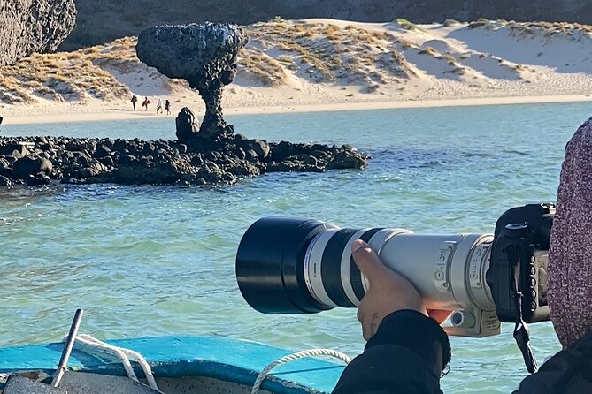 Small Group Sea Lions & Paddleboard Tour - Balandra Beach - Tour Details and Requirements