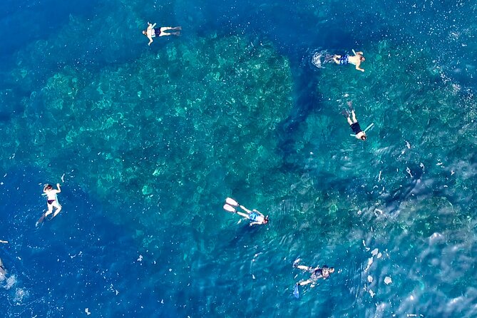Small Group Snorkeling Expedition South Kona - Traveler Reviews