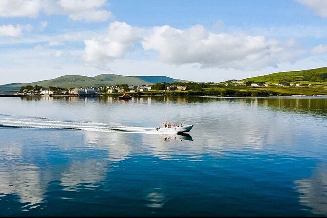 Small-Group Valentia Harbour Boat Tour in Ireland  - Ring of Kerry - Accessible Vessel and Coastal Sights