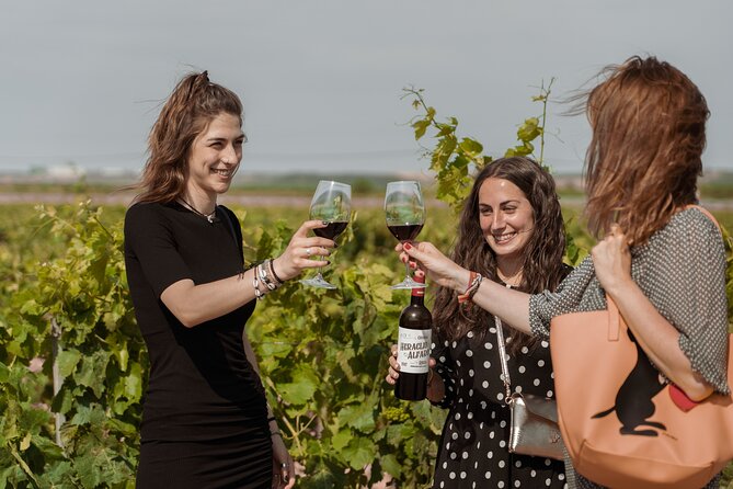 Small-Group Winery Tour and Tasting in Rioja - Cancellation Policy Details