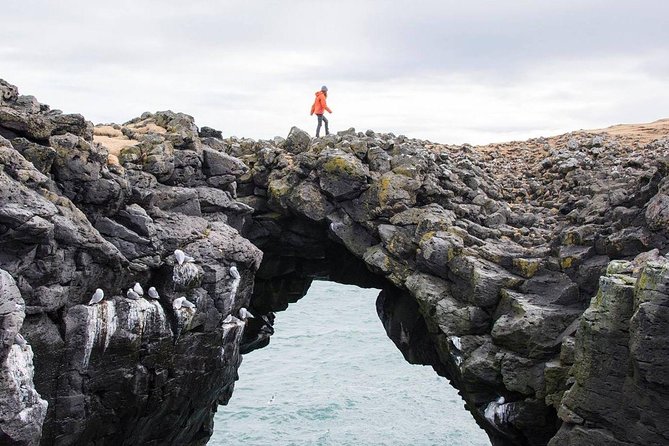 Snaefellsnes Peninsula & Kirkjufell Mountain Full Day Tour From Reykjavik - Pickup and Drop-off Information