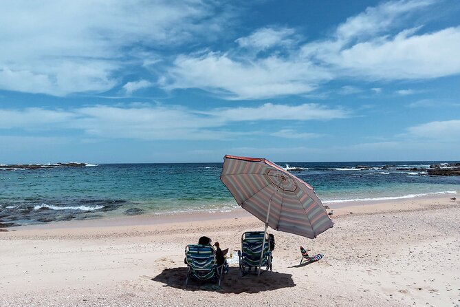 Snorkel and Hidden Beach Day Trip With Marine Biologist  - Cabo San Lucas - Cancellation Policy and Weather Conditions