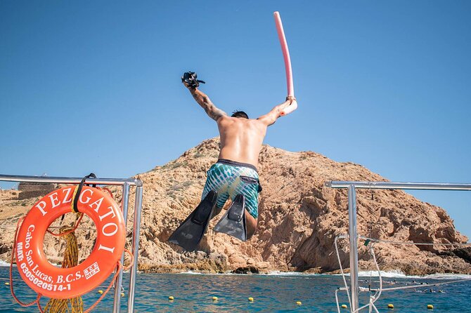 Snorkel Cruise in Los Cabos - What to Expect