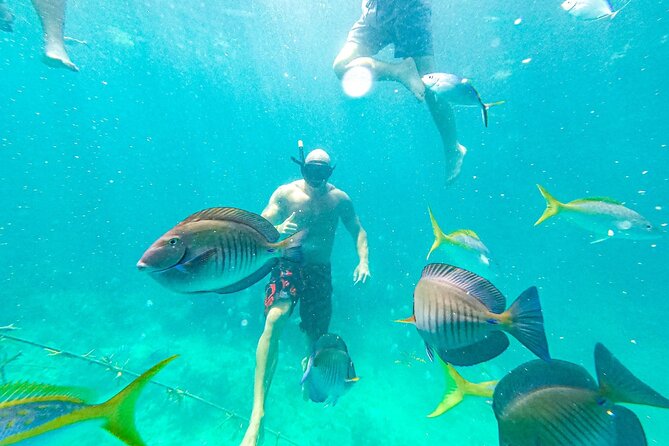 Snorkel Lovers Seafood Slide Catamaran-Family Friendly - Cancellation Policy