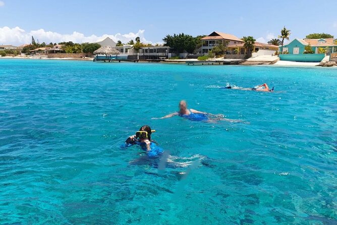 Snorkel Marathon - Snorkel Marathon: Tips and Recommendations