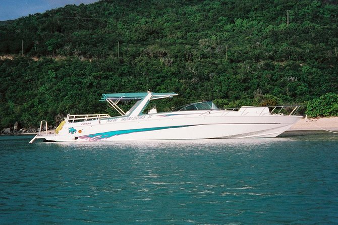 Snorkel St. John Tour From Sapphire and Margaritaville - Amazing Snorkeling Experience