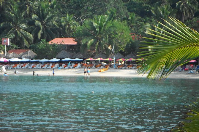 Snorkel Tour in Las Gatas Water Break - Additional Information