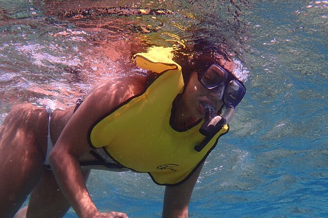 Snorkel With Sea Scooters at Mangel Halto Aruba - Group Tour - Customer Reviews and Recommendations