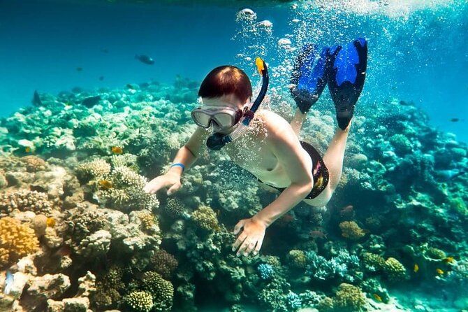 Snorkeling And Fishing To The South Phu Quoc - Destinations and Duration