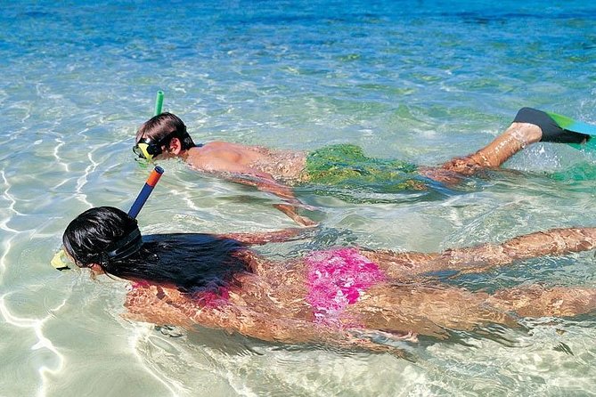 Snorkeling Discovery Sailing in Los Cabos - Overview of the Experience
